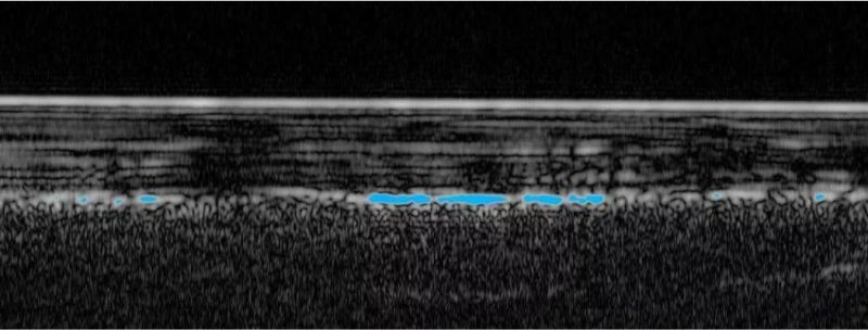 REGISTRO DA SONDA DETECTANDO A PRESENÇA DE ÁGUA