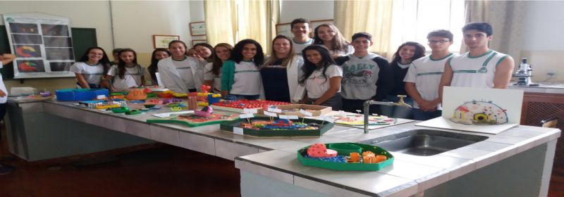 Feira de ciências da Escola Padre João Balker