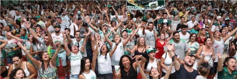 Quadra da Mancha Verde comemora o título de Campeã do carnaval de São Paulo — Foto: Celso Tavares/G1