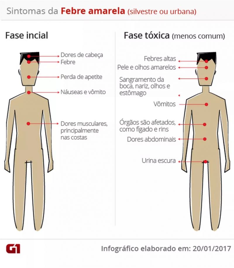 Sintomas da febre amarela