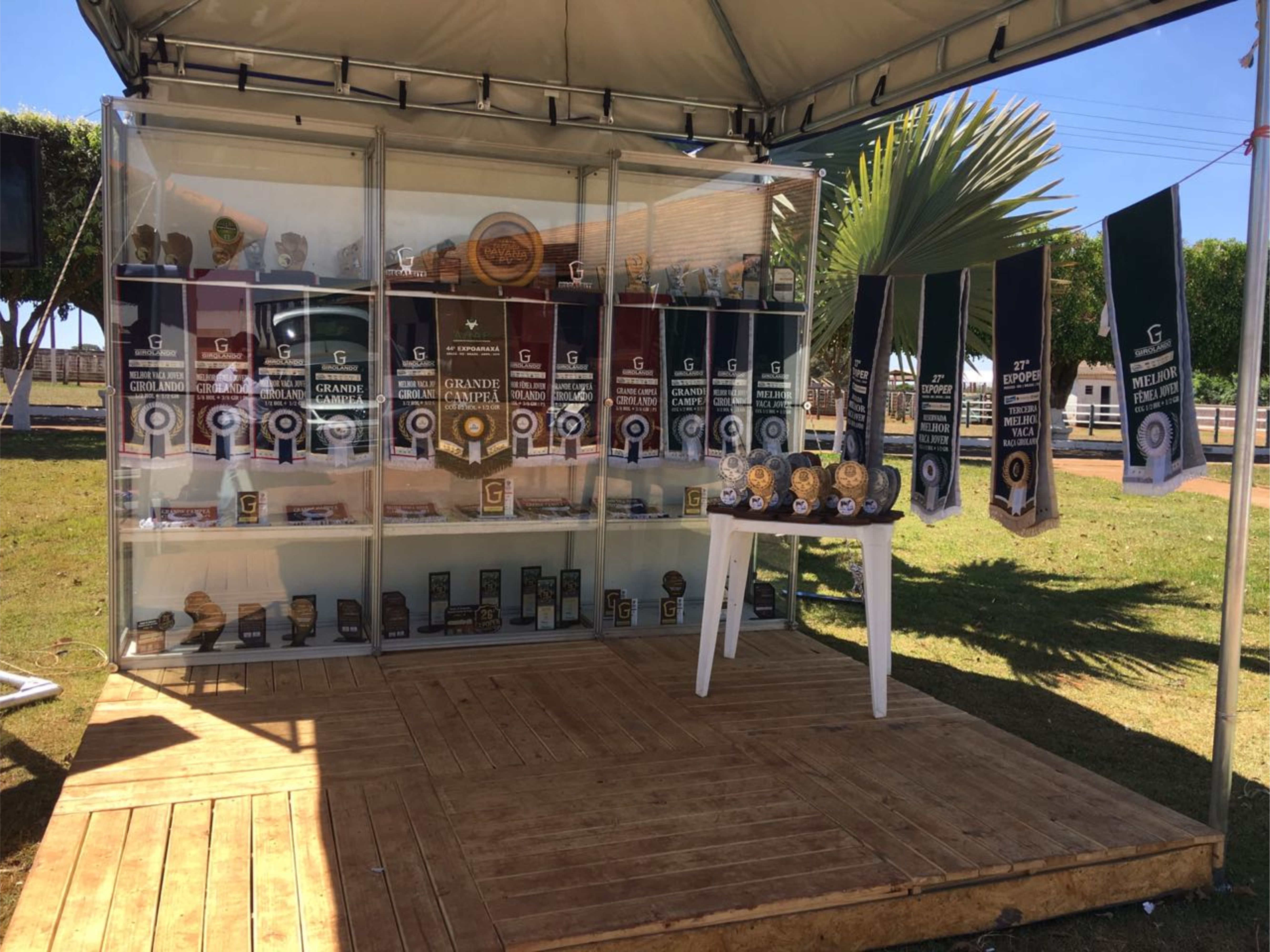 stand Pavana.