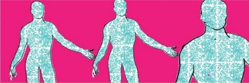 Microbioma inclui bactérias, vírus e fungos — Foto: BBC