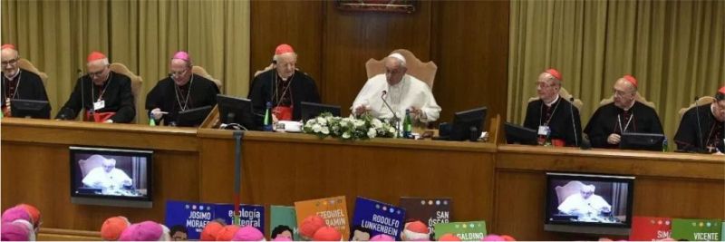 Papa Francisco durante o Sínodo dos Bispos nesta segunda-feira (7). — Foto: Divulgação/Vatican Media
