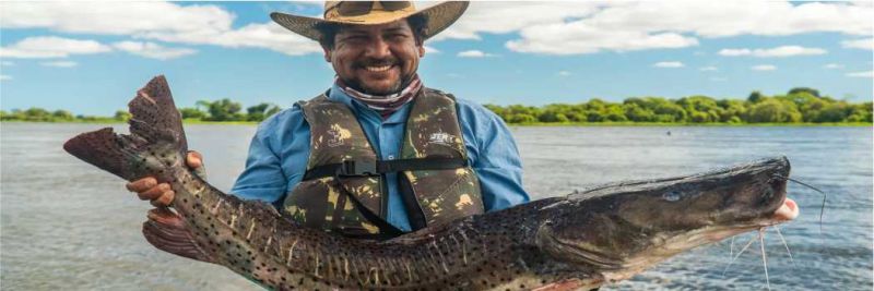 Sérgio Cesar da Silva, pescador profissional há dez anos, mostra um dos pintados que pescou no Rio Paraguai, em Mato Grosso — Foto: Eduardo Palacio/G1