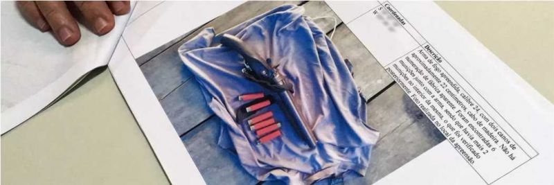Caso de onça morta avistada em MT em abril deve ser investigado apenas pelo crime de posse de arma sem permissão — Foto: Ana Carolina Moreno/G1