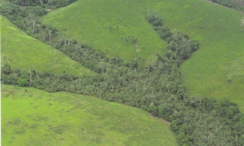 Após 30 anos, governo autoriza exploração mineral na Amazônia 